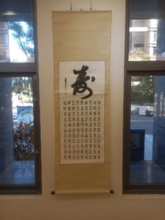 照片4