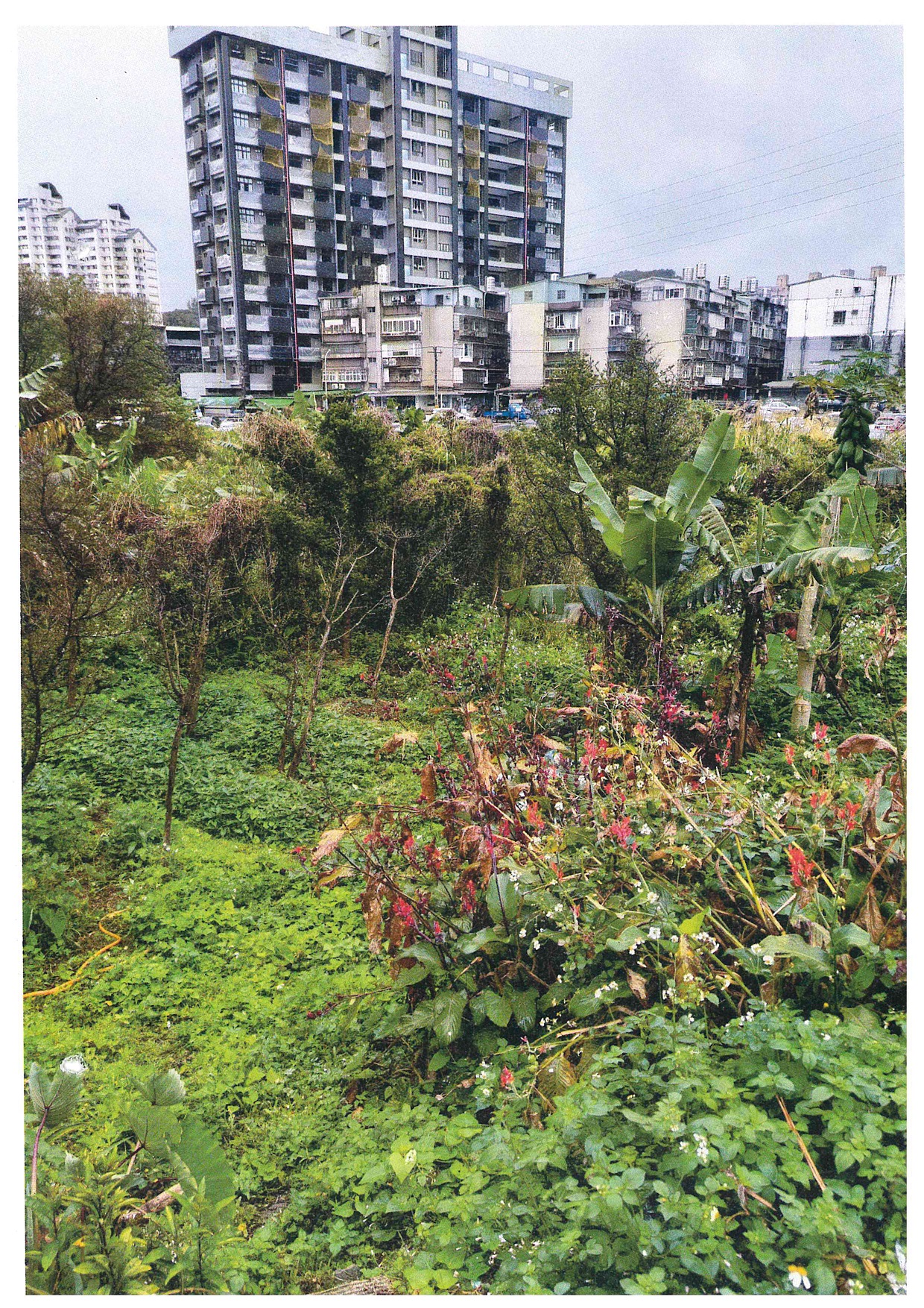 南港土地照片