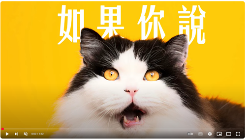 【 如果你/妳說 】