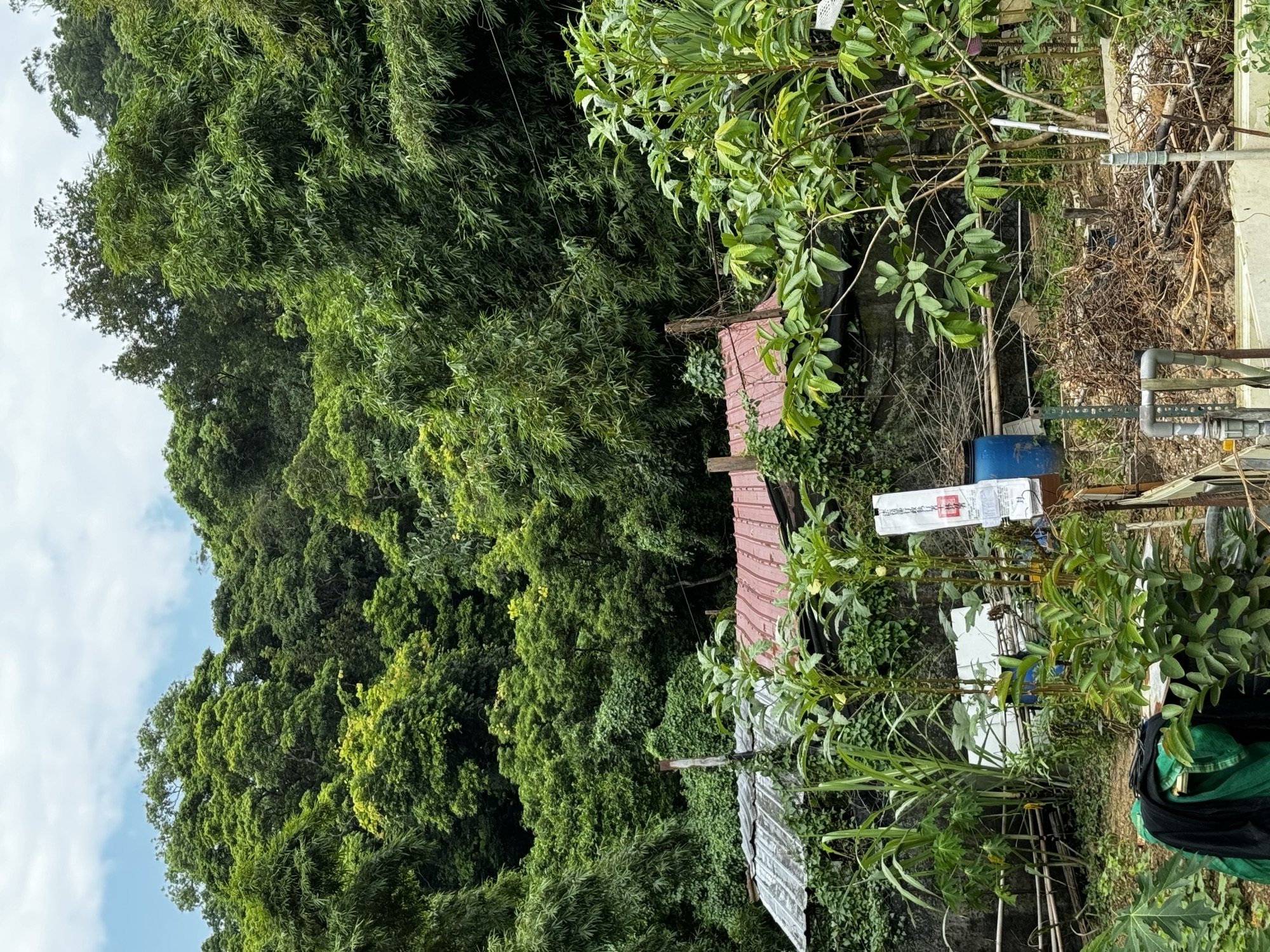 377地號A